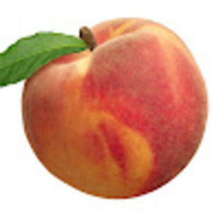 Meet your Posher, R.